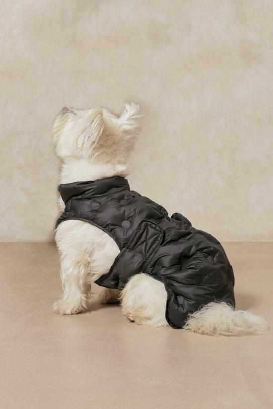 MissPap Pintuck Puffer Dog Jacket 2