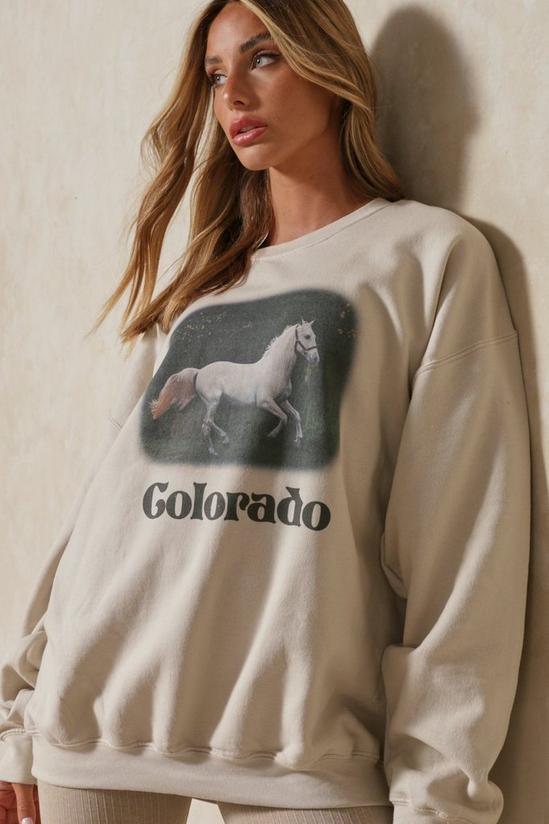 MissPap Colorado Horse Graphic Sweatshirt 1