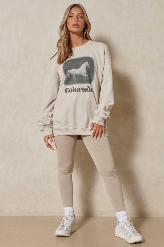 MissPap Colorado Horse Graphic Sweatshirt 4