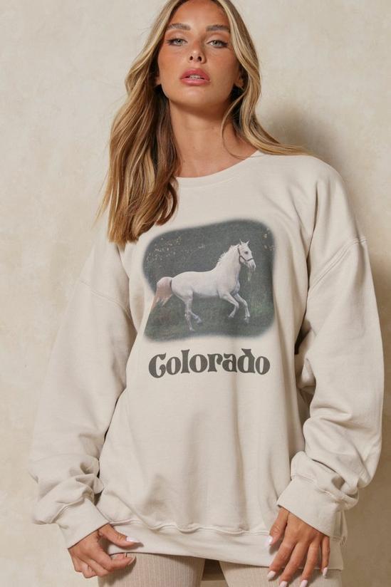 MissPap Colorado Horse Graphic Sweatshirt 5