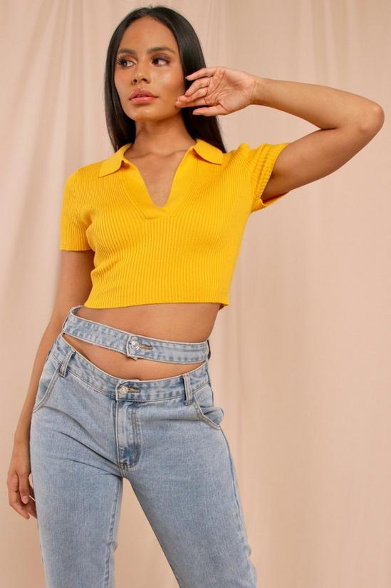MissPap Knitted Collared Crop Top 1