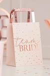 MissPap ginger ray team bride party bag thumbnail 1