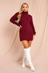 MissPap Ribbed Knitted Turtle Neck Jumper Dress thumbnail 3