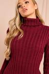 MissPap Ribbed Knitted Turtle Neck Jumper Dress thumbnail 4